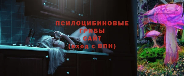 дурь Нея