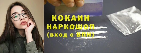 сатива Нефтекумск