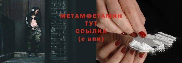 сатива Нефтекумск