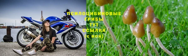 дурь Нея