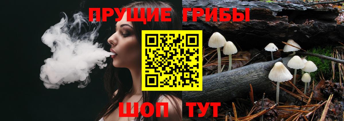 Батайск  Галлюциногенные грибы Cubensis  Галлюциногенные грибы MAGIC MUSHROOMS  Вход с VPN 